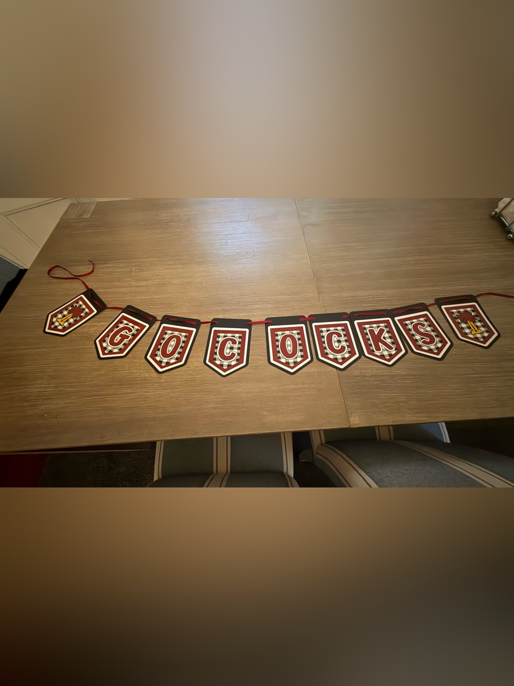 Gamecocks- Red & Black Plaid Letter Banner Garland